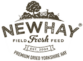 Newhay logo